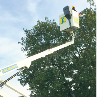 locaforce-camion-nacelle-20m-articul-1