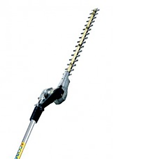 locaforce-taille-haie-perche-1